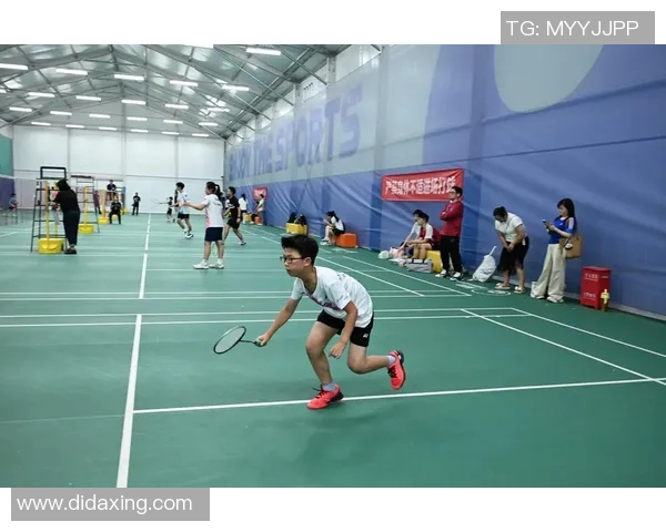 成都羽毛球队实力对比深度解析与未来发展展望