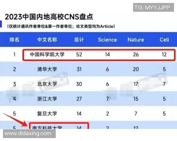 重庆羽毛球队意识排行榜跻身前五展现实力与潜力